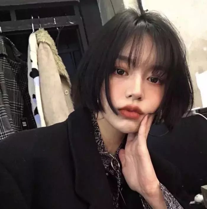 分手的决心 封面
