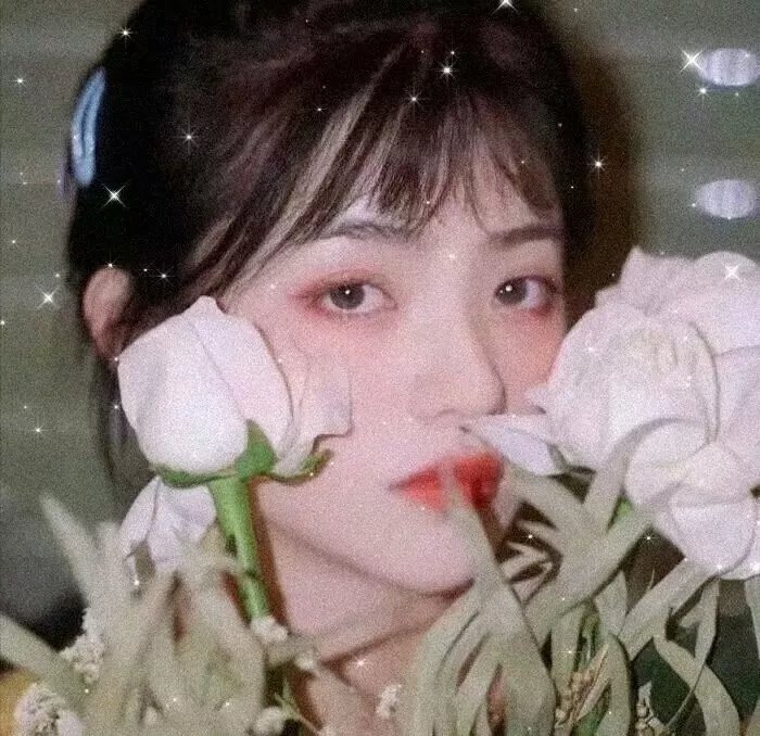 纵欲女郎 封面